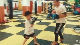 成人搏击课同步视频,同步视频中的实战技巧解析