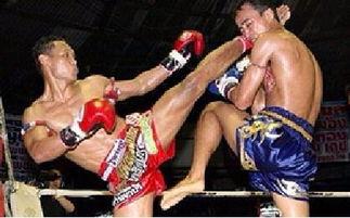 成人搏击课同步视频,同步视频中的实战技巧解析