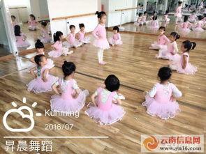 成人幼儿舞蹈视频推荐