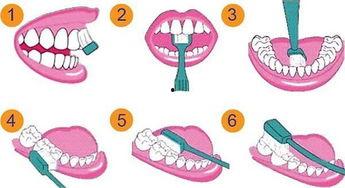 成人刷牙礼仪视频大全