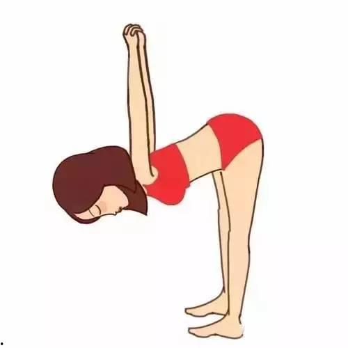 成人零基础瑜伽视频,跟随瑜伽视频轻松开启健康之旅