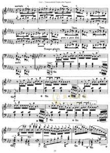 钢琴成人自学识谱视频,跟随视频轻松入门